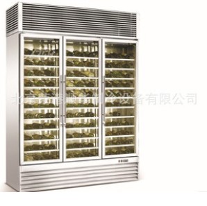 集眾多優點于一身的【紅酒恒溫展示柜】你值得擁有
